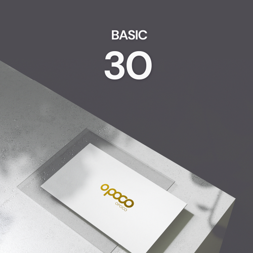 BASIC 30